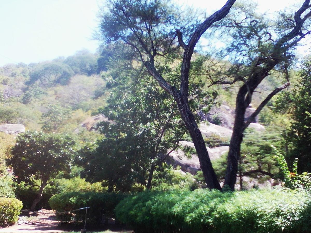 Nkhudzi Beach Lodge Nkudzi Exteriör bild